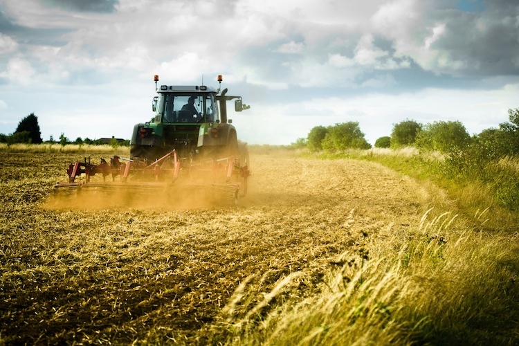 Programma di Sviluppo Rurale: Sotto Misura 4.1 – “Sostegno ad investimenti nelle aziende agricole”